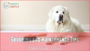 grooming and maintenance tips
