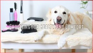 grooming for health and comfort