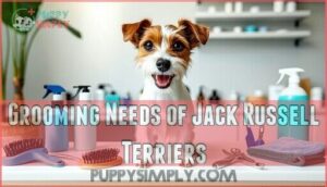 grooming needs of jack russell terriers