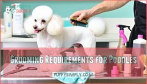 grooming requirements for poodles