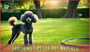 grooming tips for hot weather