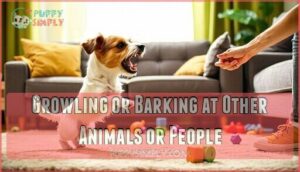growling or barking at other animals or people