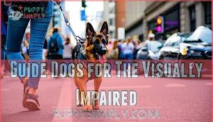guide dogs for the visually impaired