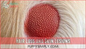 hair loss and skin lesions