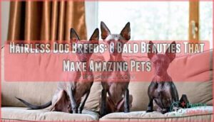 hairless dog breeds hairless dog breeds
