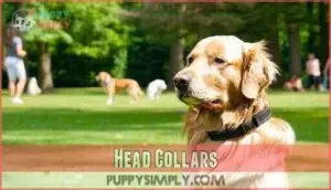 head collars
