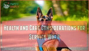health and care considerations for service work
