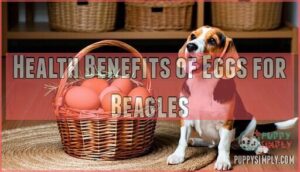 health benefits of eggs for beagles