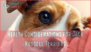 health considerations for jack russell terriers
