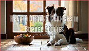 health dietary changes in border collies