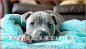 health issues in pocket pitbulls
