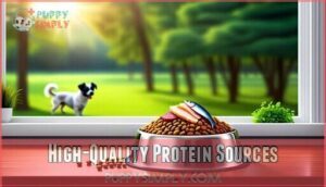 high-quality protein sources