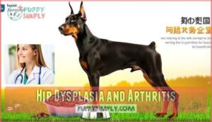 hip dysplasia and arthritis