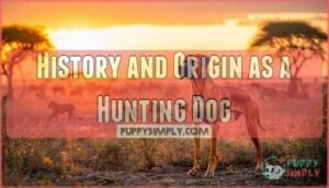 history and origin as a hunting dog