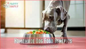 homemade dog food benefits