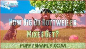 how big do rottweiler mixes get