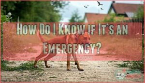 how do i know if it’s an emergency
