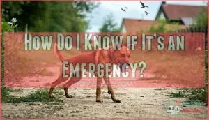 how do i know if it’s an emergency how do i know if it’s an emergency