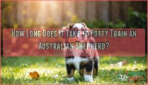 how long does it take to potty train an australian shepherd how long does it take to potty train an australian shepherd