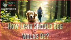 how long should dog walks be
