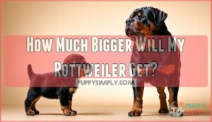 how much bigger will my rottweiler get