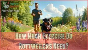 how much exercise do rottweilers need
