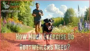 how much exercise do rottweilers need how much exercise do rottweilers need