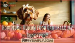 how much human food can i feed my cockapoo how much human food can i feed my cockapoo