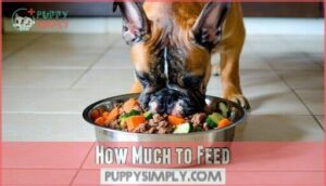 how much to feed