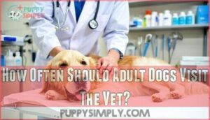 how often should adult dogs visit the vet
