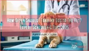 how often should i take my dog to the vet
