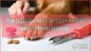 how to cut dog nails