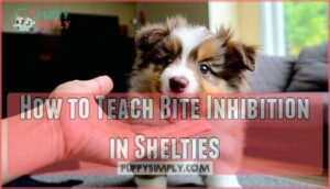how to teach bite inhibition in shelties