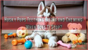 husky pups teething biting and chewing will it ever stop