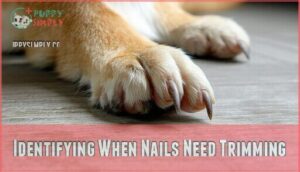 identifying when nails need trimming