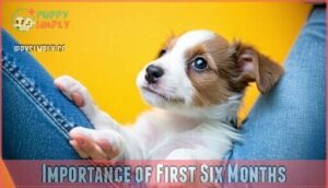 importance of first six months