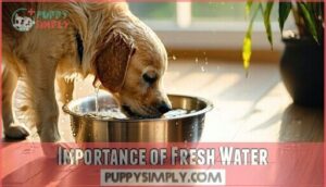 importance of fresh water