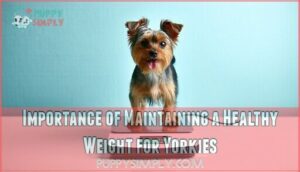 importance of maintaining a healthy weight for yorkies