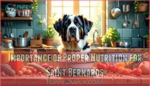 importance of proper nutrition for saint bernards