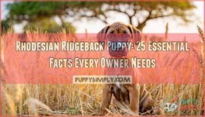 important information as well as facts about the rhodesian ridgeback puppy