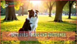 improved focus and obedience