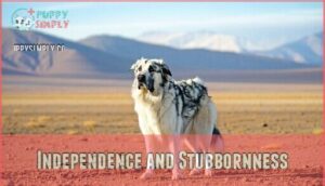 independence and stubbornness