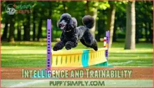 intelligence and trainability