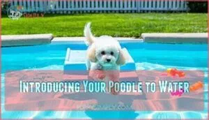 introducing your poodle to water