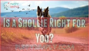 is a shollie right for you