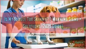 is my beagle too skinny