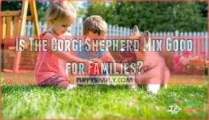 is the corgi shepherd mix good for families