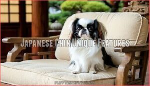 japanese chin unique features