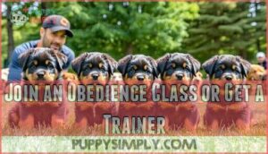 join an obedience class or get a trainer