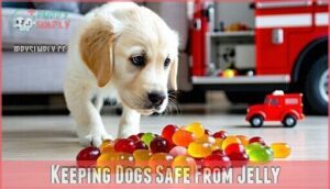 keeping dogs safe from jelly